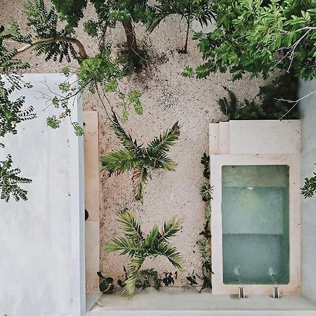바야돌리드 La Sultana Amazing New House With Pool 빌라 외부 사진