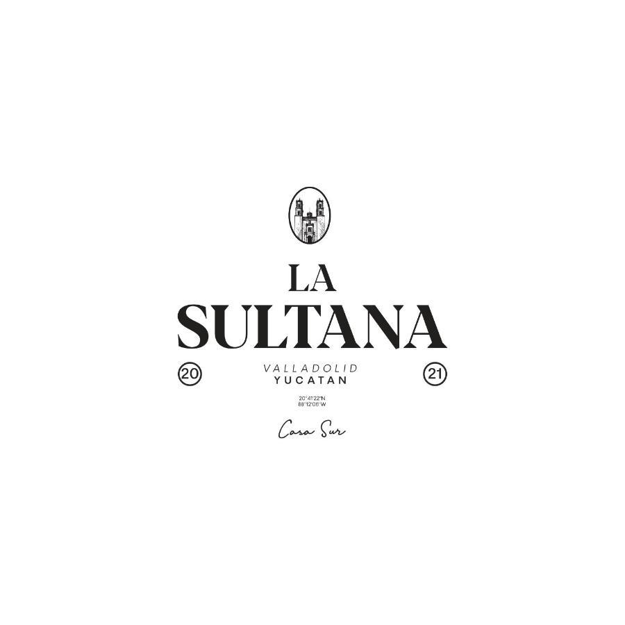 바야돌리드 La Sultana Amazing New House With Pool 빌라 외부 사진
