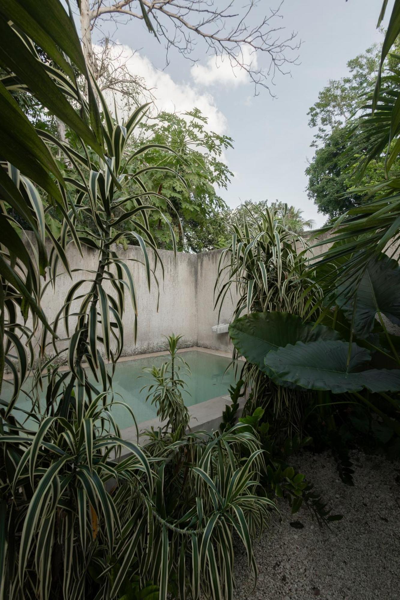 바야돌리드 La Sultana Amazing New House With Pool 빌라 외부 사진